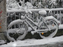 大雪提訴