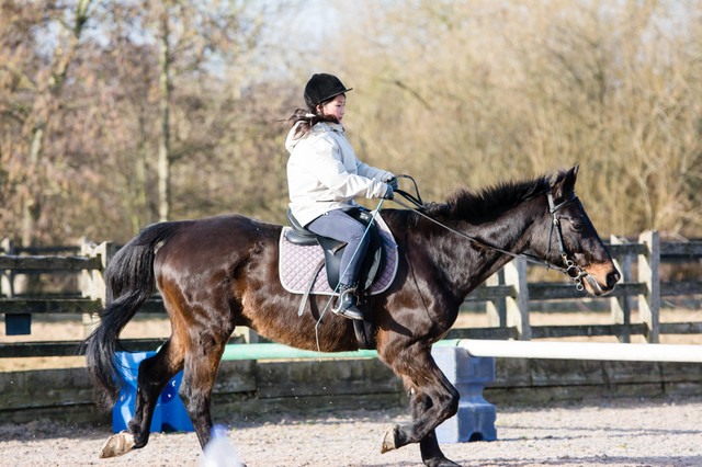 馬で道路を走りたい 現代でも可能ってホント シェアしたくなる法律相談所
